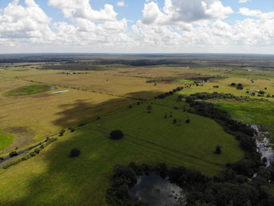 1,248 Acres Myakka Valley Ranch for Sale Myakka/Sarasota FL - image 26