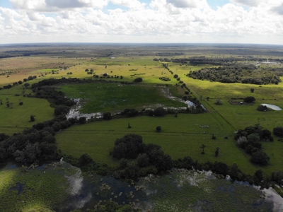 1,248 Acres Myakka Valley Ranch for Sale Myakka/Sarasota FL - image 35