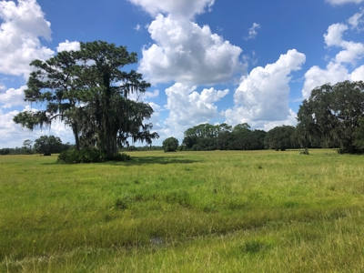 1,248 Acres Myakka Valley Ranch for Sale Myakka/Sarasota FL - image 9