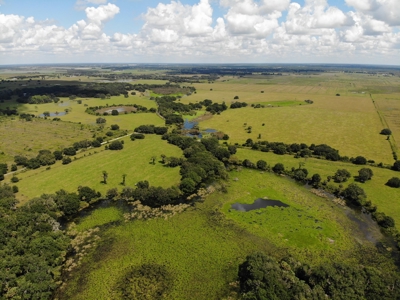 1,248 Acres Myakka Valley Ranch for Sale Myakka/Sarasota FL - image 37