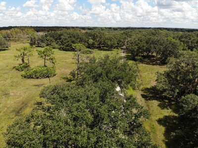 1,248 Acres Myakka Valley Ranch for Sale Myakka/Sarasota FL - image 38
