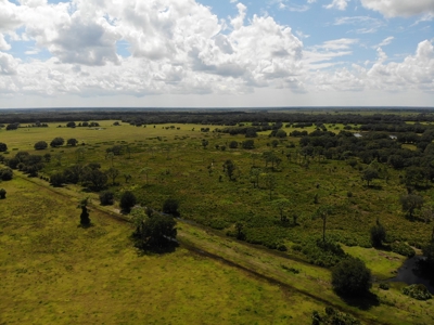 1,248 Acres Myakka Valley Ranch for Sale Myakka/Sarasota FL - image 44