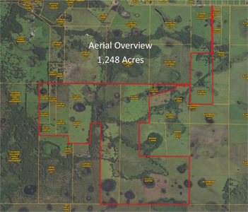 1,248 Acres Myakka Valley Ranch for Sale Myakka/Sarasota FL - image 1