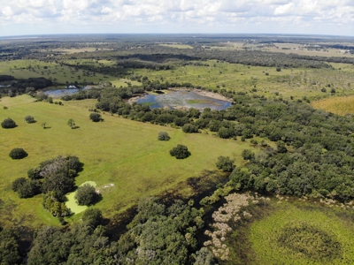 1,248 Acres Myakka Valley Ranch for Sale Myakka/Sarasota FL - image 29
