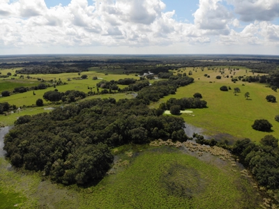 1,248 Acres Myakka Valley Ranch for Sale Myakka/Sarasota FL - image 17