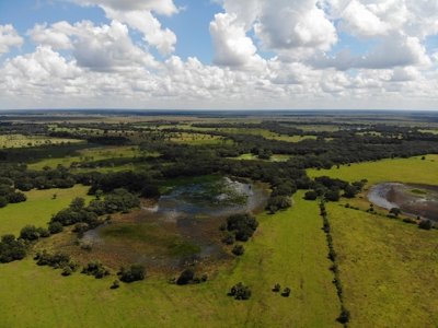 1,248 Acres Myakka Valley Ranch for Sale Myakka/Sarasota FL - image 48