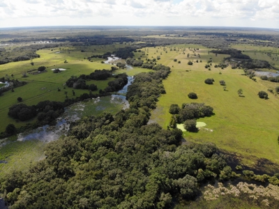 1,248 Acres Myakka Valley Ranch for Sale Myakka/Sarasota FL - image 32