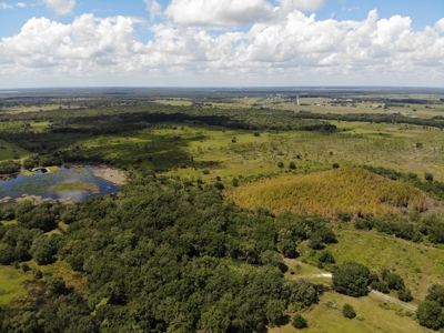 1,248 Acres Myakka Valley Ranch for Sale Myakka/Sarasota FL - image 19