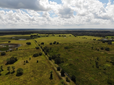 1,248 Acres Myakka Valley Ranch for Sale Myakka/Sarasota FL - image 47