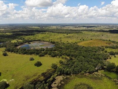 1,248 Acres Myakka Valley Ranch for Sale Myakka/Sarasota FL - image 25