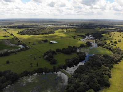 1,248 Acres Myakka Valley Ranch for Sale Myakka/Sarasota FL - image 34