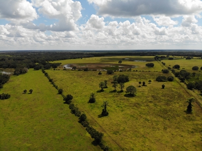 1,248 Acres Myakka Valley Ranch for Sale Myakka/Sarasota FL - image 45