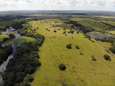 1,248 Acres Myakka Valley Ranch for Sale Myakka/Sarasota FL - image 33