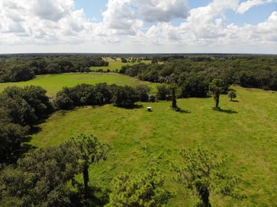 1,248 Acres Myakka Valley Ranch for Sale Myakka/Sarasota FL - image 15