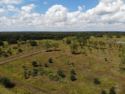 1,248 Acres Myakka Valley Ranch for Sale Myakka/Sarasota FL - image 41