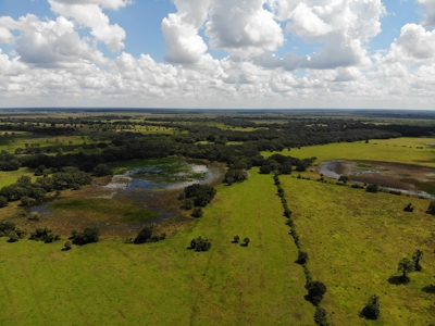 1,248 Acres Myakka Valley Ranch for Sale Myakka/Sarasota FL - image 5