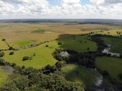 1,248 Acres Myakka Valley Ranch for Sale Myakka/Sarasota FL - image 36