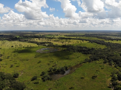 1,248 Acres Myakka Valley Ranch for Sale Myakka/Sarasota FL - image 11