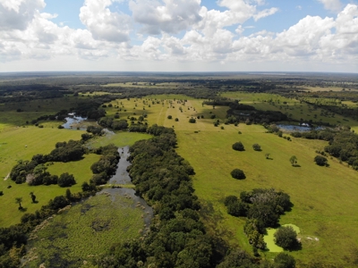 1,248 Acres Myakka Valley Ranch for Sale Myakka/Sarasota FL - image 24