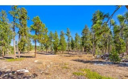 Camp or Build on This Beautiful Mountain Lot - image 4