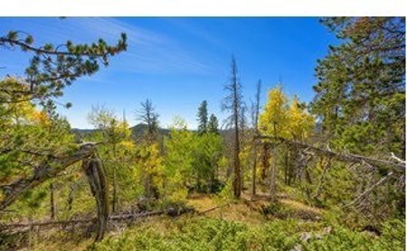 Camp or Build on This Beautiful Mountain Lot - image 6