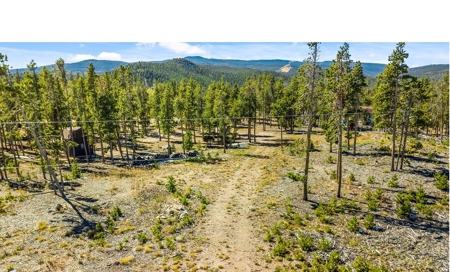 Camp or Build on This Beautiful Mountain Lot - image 10