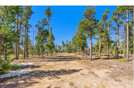 Camp or Build on This Beautiful Mountain Lot - image 1