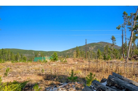Camp or Build on This Beautiful Mountain Lot - image 3
