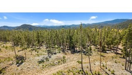 Camp or Build on This Beautiful Mountain Lot - image 9