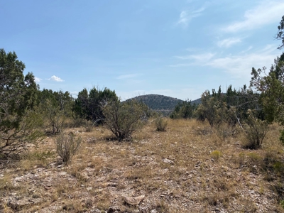 Mountain Land for Sale in Northern Arizona No HOA - image 2
