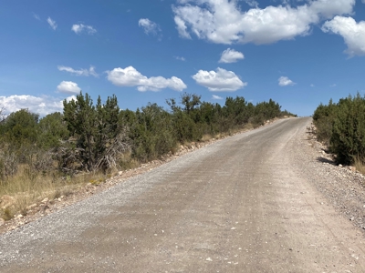 Mountain Land for Sale in Northern Arizona No HOA - image 3