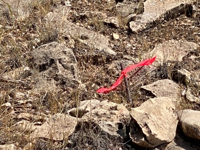 Mountain Land for Sale in Northern Arizona No HOA - image 6