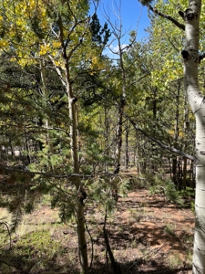 Land for sale in central Colorado - image 1