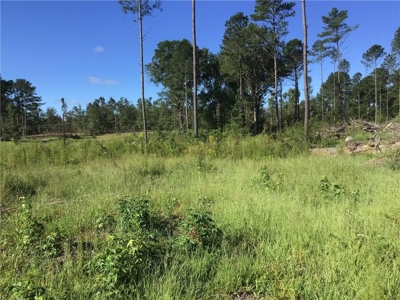 70 acres mostly flat - Rome, GA - image 9