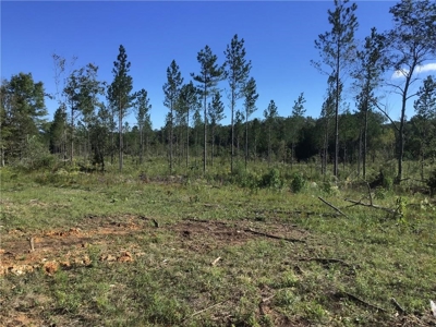 70 acres mostly flat - Rome, GA - image 3