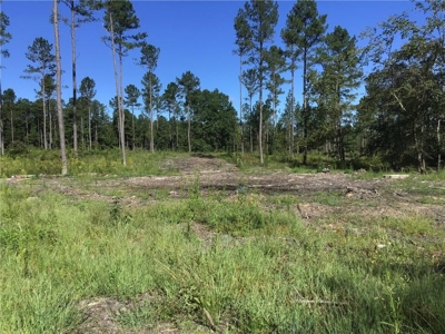 70 acres mostly flat - Rome, GA - image 6
