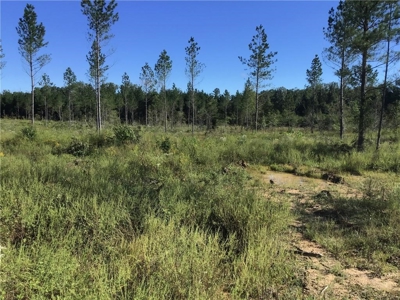 70 acres mostly flat - Rome, GA - image 1