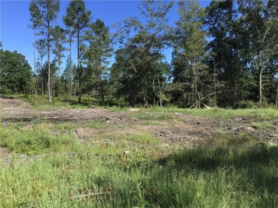 70 acres mostly flat - Rome, GA - image 10