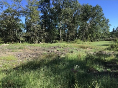 70 acres mostly flat - Rome, GA - image 7