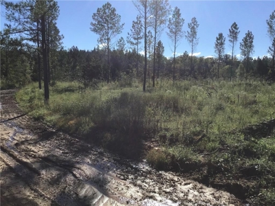 70 acres mostly flat - Rome, GA - image 2