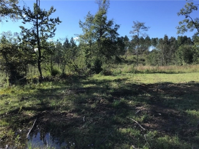 70 acres mostly flat - Rome, GA - image 5
