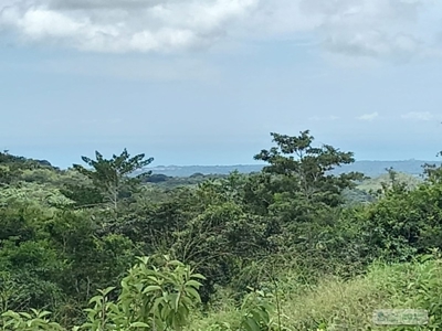 2.2 Hectares Lot For Sale In La Laguna San Carlos Panama - image 4