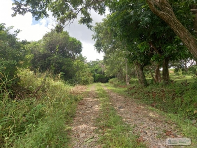 2.2 Hectares Lot For Sale In La Laguna San Carlos Panama - image 5