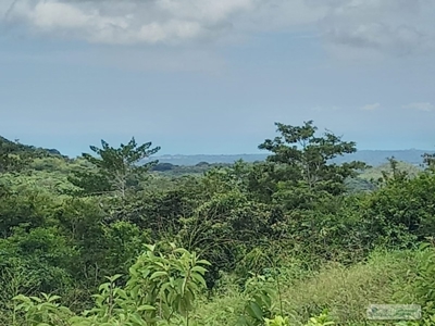 2.2 Hectares Lot For Sale In La Laguna San Carlos Panama - image 3