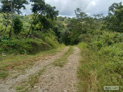 2.2 Hectares Lot For Sale In La Laguna San Carlos Panama - image 7