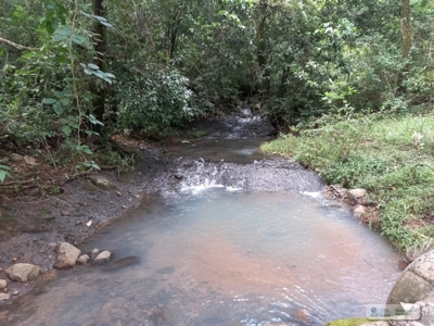 2.2 Hectares Lot For Sale In La Laguna San Carlos Panama - image 1