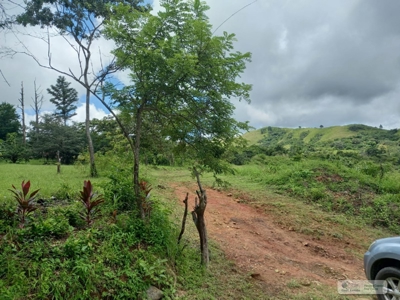 2.2 Hectares Lot For Sale In La Laguna San Carlos Panama - image 8
