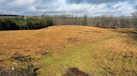 Buffalo Springs Retreat In Southern VA - image 10