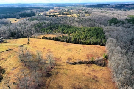 Buffalo Springs Retreat In Southern VA - image 3