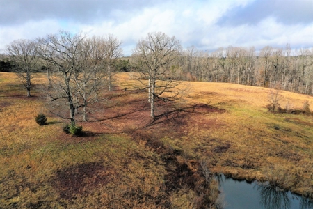 Buffalo Springs Retreat In Southern VA - image 7